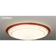 スリムNext LED常夜灯シーリング 電球色75W QUADERNOA FVH75600SEL