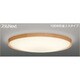 スリムNext LED常夜灯シーリング 電球色75W CANTIL ALDER FVH75603SEL