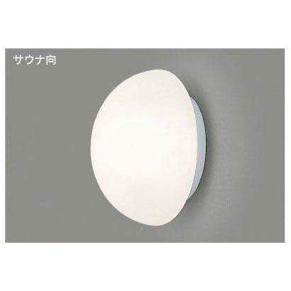 浴室灯・サウナ用 防湿・防雨 40W形 IB30191