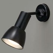 スポットライト フランジタイプ・白熱電球 100W形 ブラック IB30201F