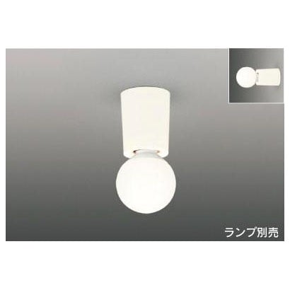 シーリング・レセップ 白60W形(ランプ別売) ホワイト IG20068