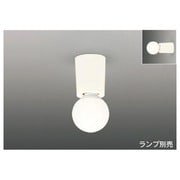 シーリング・レセップ 白60W形(ランプ別売) ホワイト IG20068