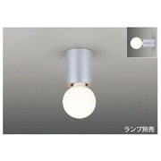 シーリング・レセップ 白60W形(ランプ別売) シルバー IG20069