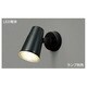 E-CORE(イー･コア) LED電球形搭載シリーズ ランプ交換可能タイプ(ランプ別売) ブラック LEDS88900(K)