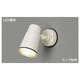 E-CORE(イー･コア) LED電球形搭載シリーズ ランプ交換可能タイプ(ランプ別売) ホワイト LEDS88900(W)