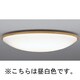 蛍光灯シーリングライト インバータプルレス 昼白色 FHC86W (8～10畳) LF-3541-N