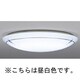 蛍光灯シーリングライト インバータプルレス 昼白色 FHC114W (10～12畳) LF-3556-N