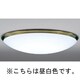 蛍光灯シーリングライト インバータプルレス 昼白色 FHC114W (10～12畳) LF-3573-N