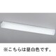 蛍光灯 シーリングライト 昼白色 FL80W LF-3629-N