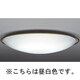 蛍光灯 シーリングライト インバータプルレス 昼白色 FHC76W (4.5～8畳) LF-3858-N