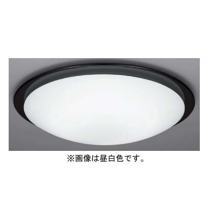 蛍光灯シーリングライト インバータプルレス昼白色 FHC114W LF-2894-N