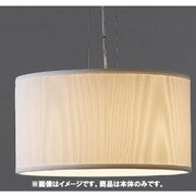 白熱灯 PW-2491