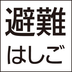 防災設備標示灯パネル 避難はしご FK20090