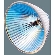 白熱電球 ハロゲンランプ 12V 95mm径 30度 HNK03462