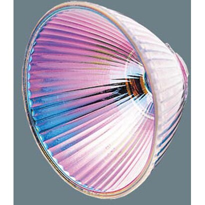 白熱電球 ハロゲンランプ 12V 95mm径 生鮮食料品専用（鮮魚用） 30度 HNK04362