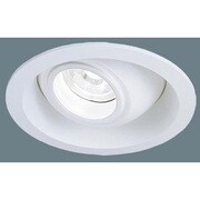 EVERLEDS LED UV DL 高出力 昼白色 NNN21990
