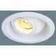 EVERLEDS LED UV DL 高出力 電球色 NNN21991
