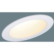 LEDDL100形タイプ傾斜天井用電 NNN72018LE9