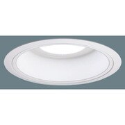 LEDDL100形 昼白色 軒下用 NNN72813LE9