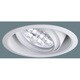 EVERLEDS・LEDユニバーサルダウンライト HID35形相当 中角15度・白色 NNN73532W