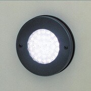 EVERLEDS 白色LED36個丸型大タイプ 防雨型/DC25.6V NNY20012