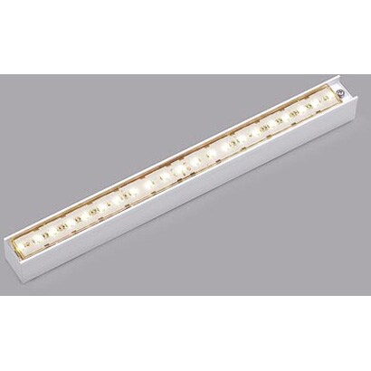 EVERLEDS・LED建築部材 線タイプ 40クラス連結エンド用・L300タイプ NNY21576LE1