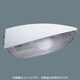 エバーライト50防犯灯灯具 YEV35020K