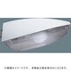 エバーライト50発光体(白色) YK99846