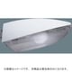 エバーライト50発光体(電球色) YK99847