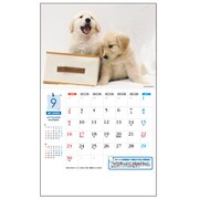 MY DOG'S（ワンポイント情報入り） [2012年カレンダー]