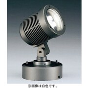 屋外用 LEDスポットライト ビーム角36度 白色 AD-2437-N