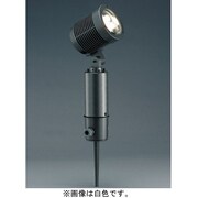 屋外用 LEDスポットライト ビーム角8度 スパイク式 白色 AD-2438-N