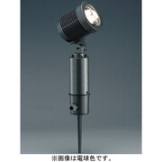 屋外用 LEDスポットライト ビーム角36度 スパイク式 電球色 AD-2439-L