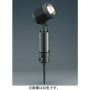 屋外用 LEDスポットライト ビーム角36度 スパイク式 白色 AD-2439-N
