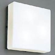 白熱灯バスルームライト BI-4187