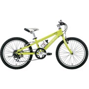 LGS-J206 LIGHT  GREEN 250