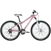 自転車(26型・フレームサイズ400mm) スモークピンク MOUNTAIN LGS-XC CASPER SMOKE PINK 400