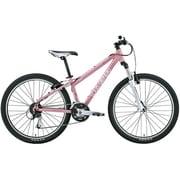 自転車(26型・フレームサイズ450mm) スモークピンク MOUNTAIN LGS-XC CASPER SMOKE PINK 450