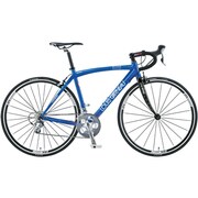 LGS-CTR Blue 500