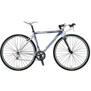 LGS-CX2 BLUE/SILVER 480