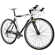 LGS-CX2 WHITE/BLACK 480