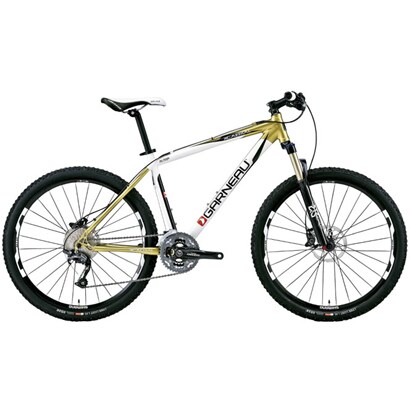 LGS-XC AERIAL  GOLD/WHITE 400