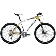 LGS-XC AERIAL  GOLD/WHITE 400