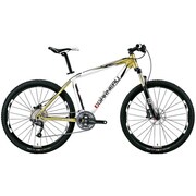 LGS-XC AERIAL  GOLD/WHITE 500