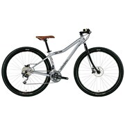 GRAY 430 LGS-SOIL 29