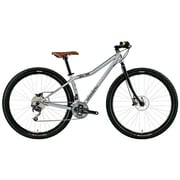 LGS-SOIL 29 GRAY 480