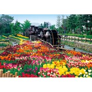 ジグソー 44-201 五連水車と花咲く公園 富山 [450P（26×38cm）]