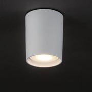 LED小形シーリング ホワイト 電球色 AC-60048