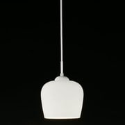 LED小型ペンダント照明 昼白色 AP-60093