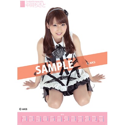 AKB-112 中田ちさと [2012年ポスターカレンダー]